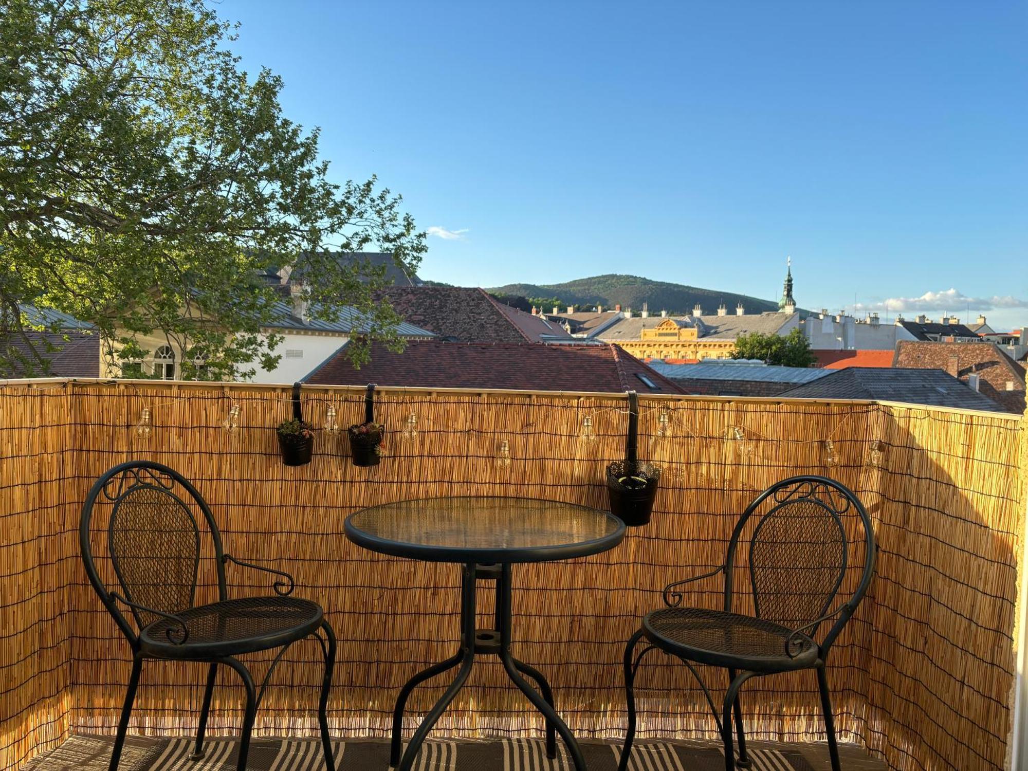 Zum Breyer Bnb City Apartment Baden Ngoại thất bức ảnh
